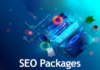 SEO services packages at Freelancers Hub Canada