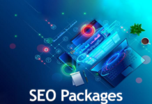 SEO services packages at Freelancers Hub Canada